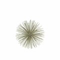 H2H Metal Sea Urchin Ornamental Sculpture, Champagne - Medium H23243644
